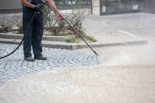 Best Animal Enclosure Cleaning  in Mvell, AR
